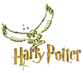 Nielegalne tłumaczenie przygód Harry'ego Pottera znalazło się w Sieci