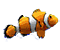 living Marine Aquarium 2.0