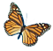 living 3D Butterflies 1.0