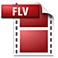 riva_flv_encoder 2.0