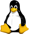 Linux górą