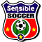 Sensible World of Soccer